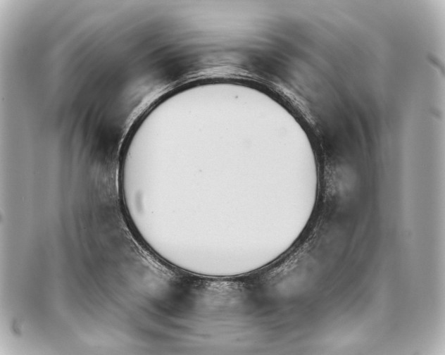 X0000097001322200802221512