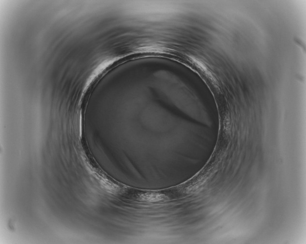 X0000097001323200802221512