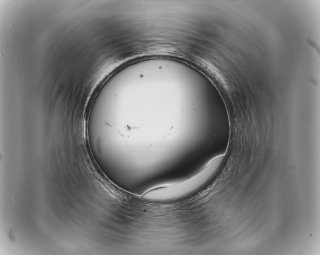 X0000097001324200802221512