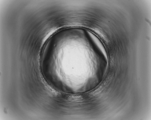 X0000097001325200802221512