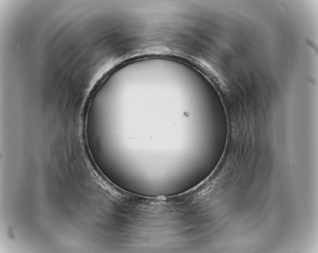 X0000097001326200802221512