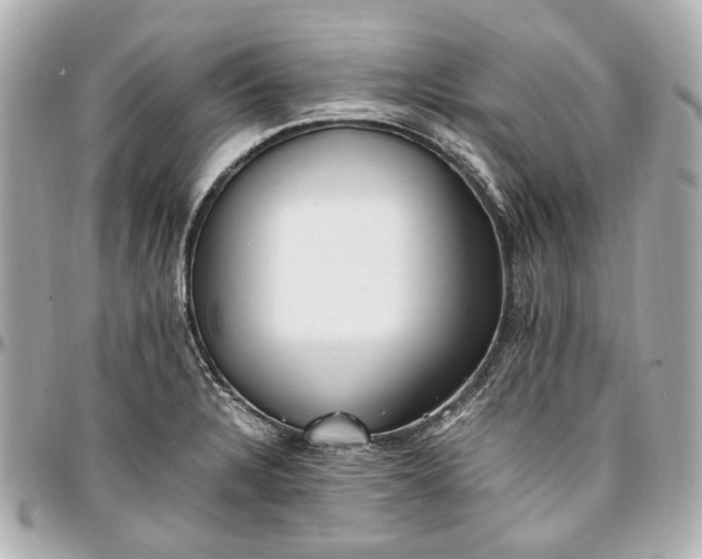 X0000097001328200802221512