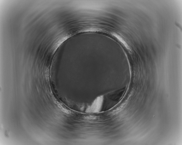 X0000097001329200802221512