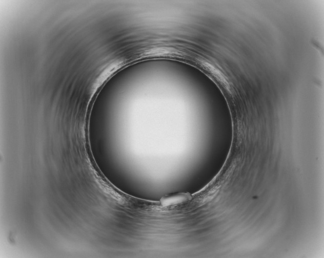 X0000097001330200802221512