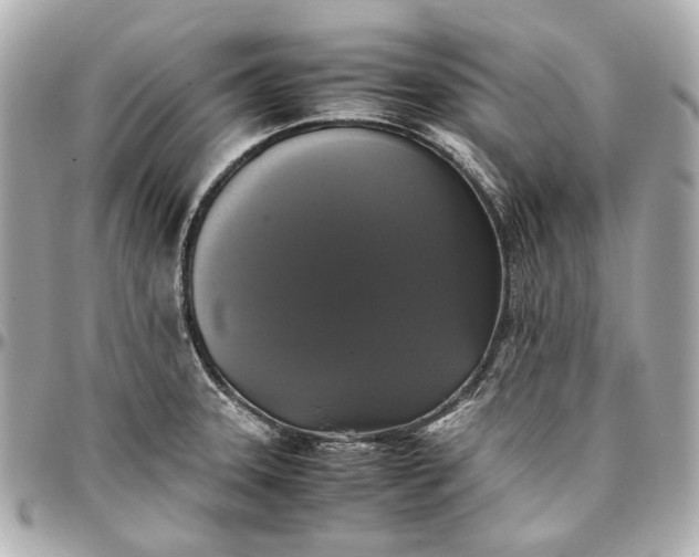 X0000097001331200802221512