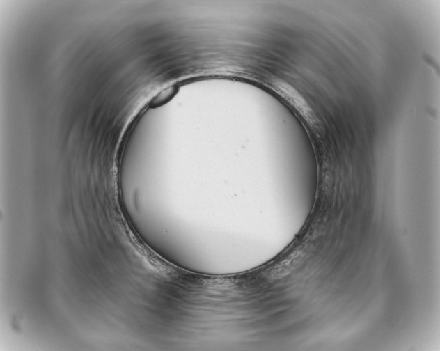 X0000097001332200802221512