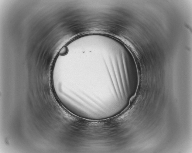 X0000097001333200802221512