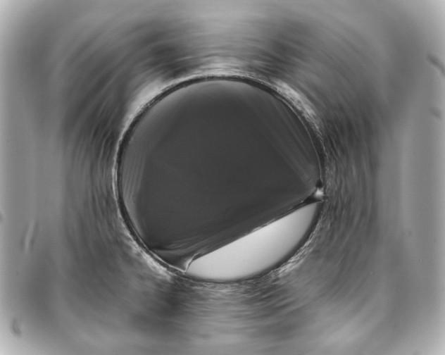 X0000097001334200802221512