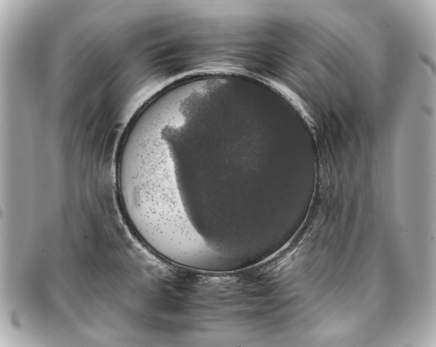 X0000097001335200802221512