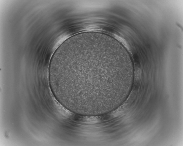 X0000097001338200802221512