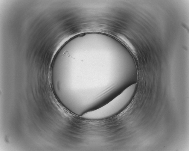 X0000097001340200802221512