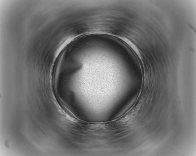 X0000097001341200802221512