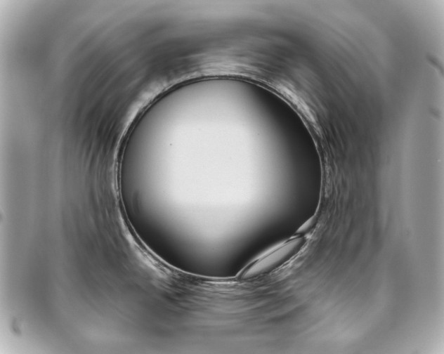 X0000097001342200802221512