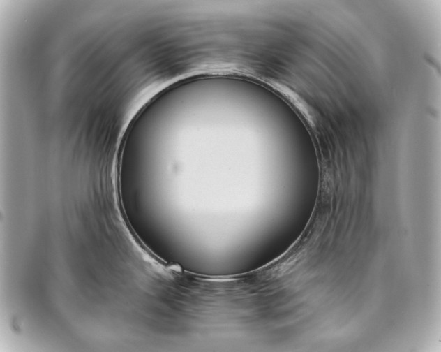 X0000097001343200802221512