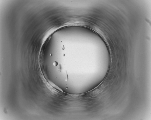 X0000097001344200802221512