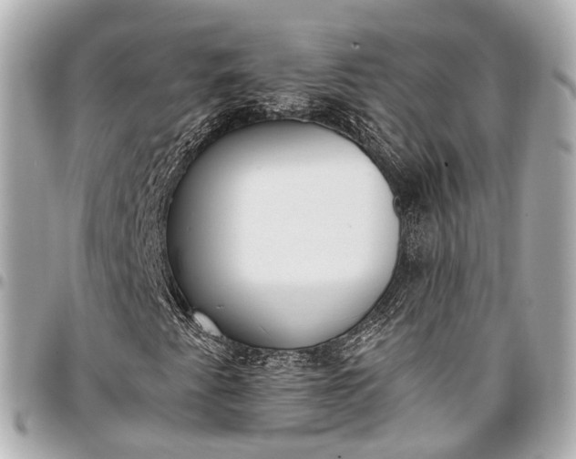 X0000097001345200802221512