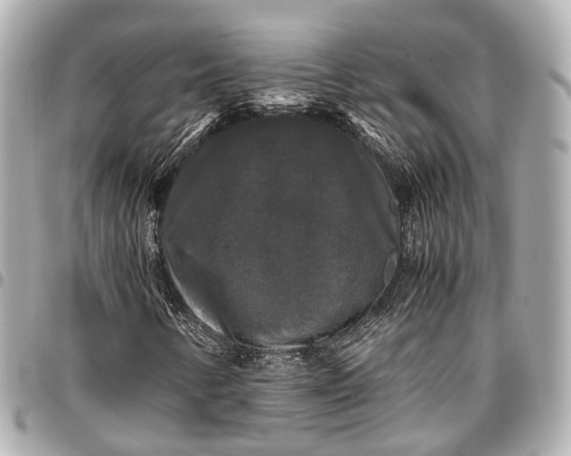 X0000097001346200802221512