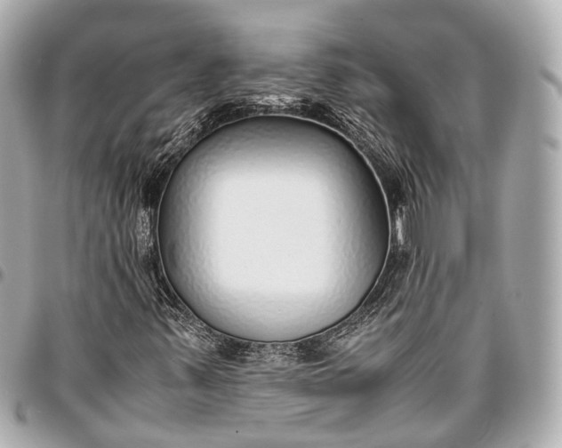 X0000097001347200802221512