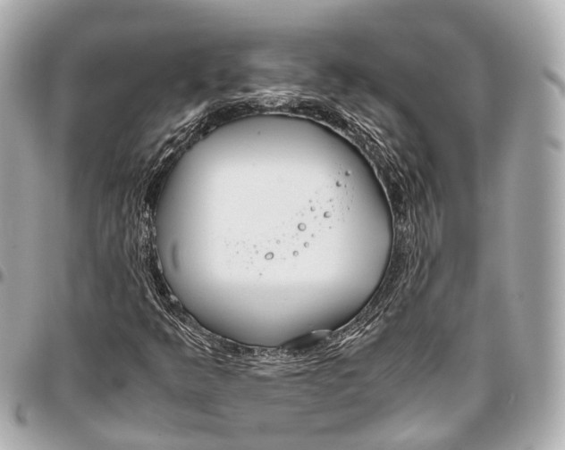 X0000097001349200802221512