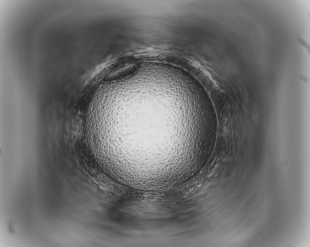 X0000097001350200802221512