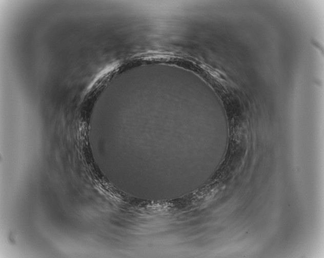 X0000097001351200802221512