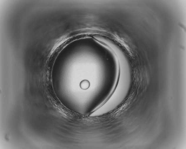 X0000097001352200802221512