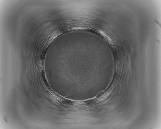 X0000097001353200802221512