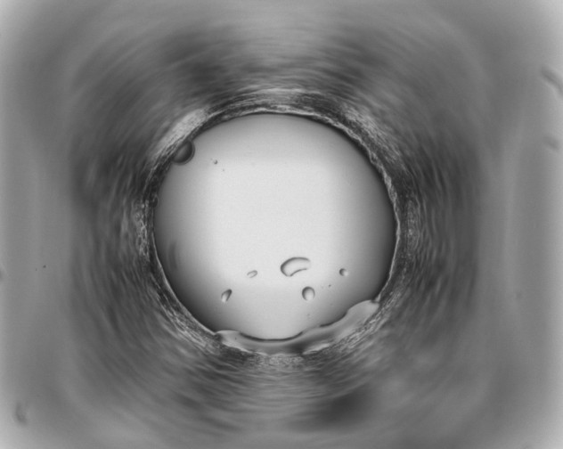 X0000097001354200802221512