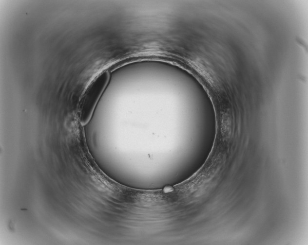 X0000097001356200802221512