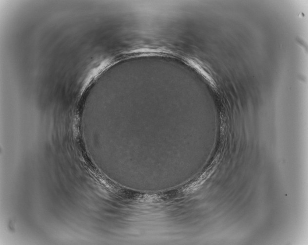 X0000097001357200802221512