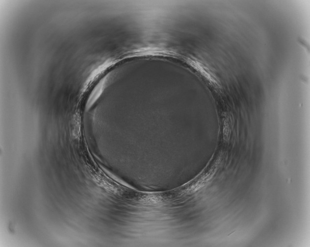 X0000097001358200802221512