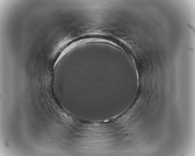 X0000097001359200802221512