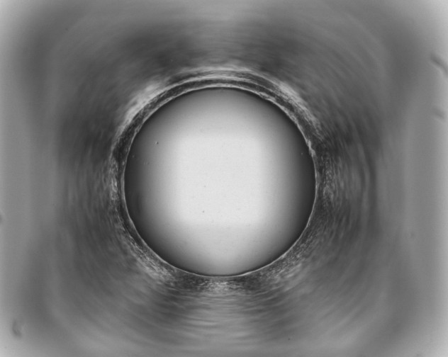 X0000097001360200802221512