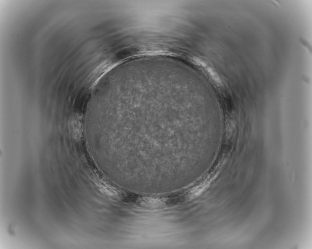 X0000097001361200802221512