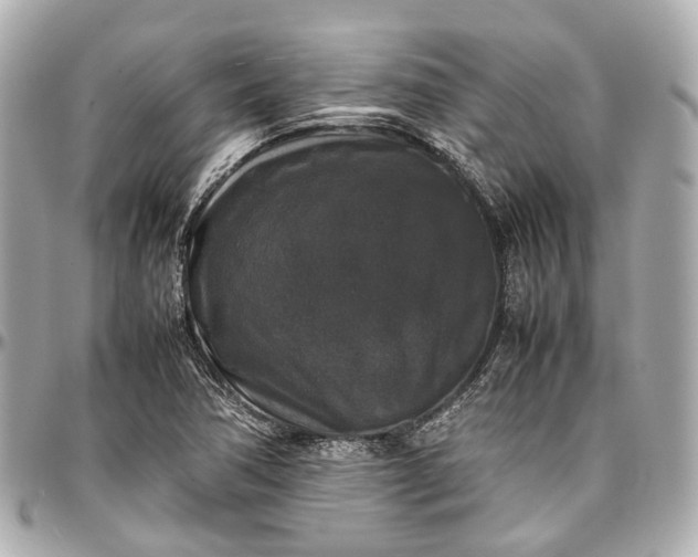 X0000097001362200802221512