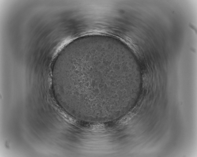 X0000097001363200802221512