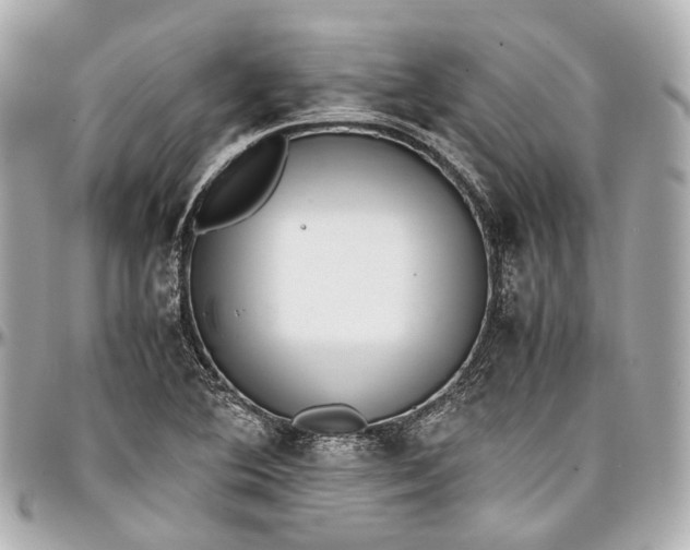 X0000097001364200802221512