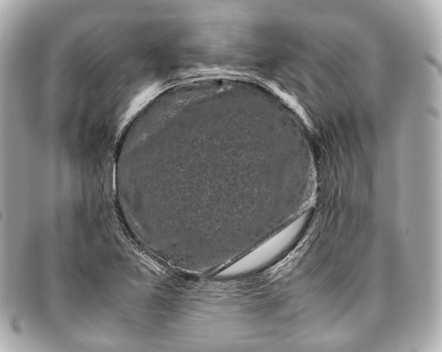 X0000097001365200802221512