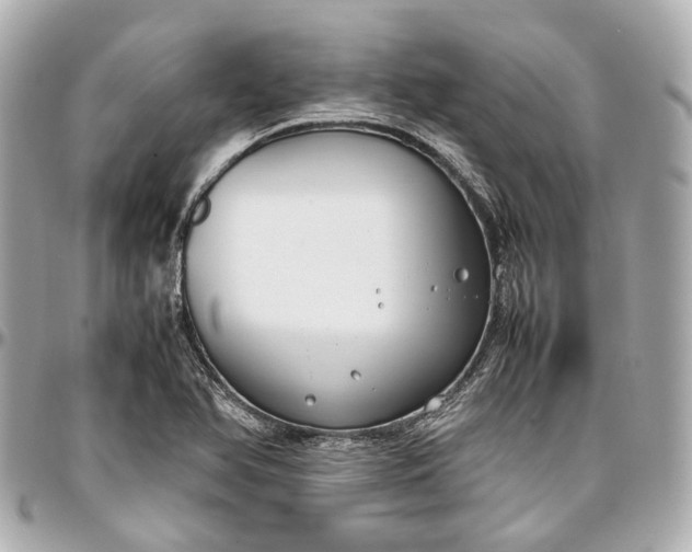 X0000097001366200802221512