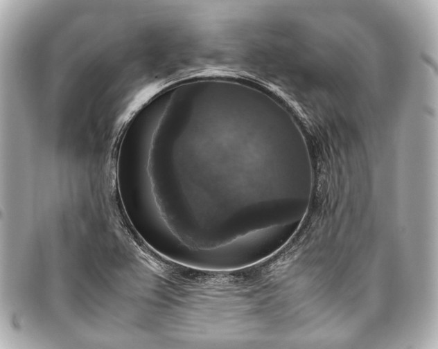 X0000097001367200802221512