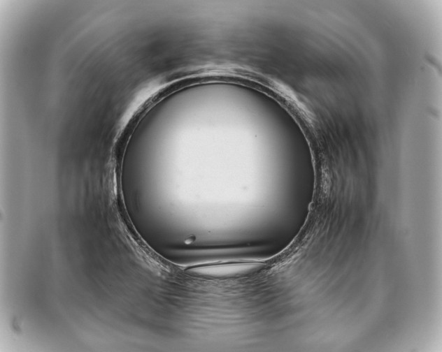 X0000097001368200802221512