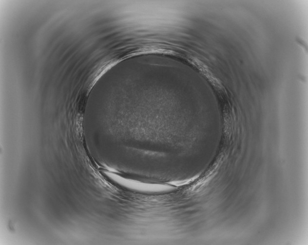 X0000097001369200802221512