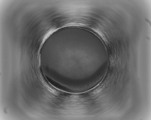 X0000097001371200802221511