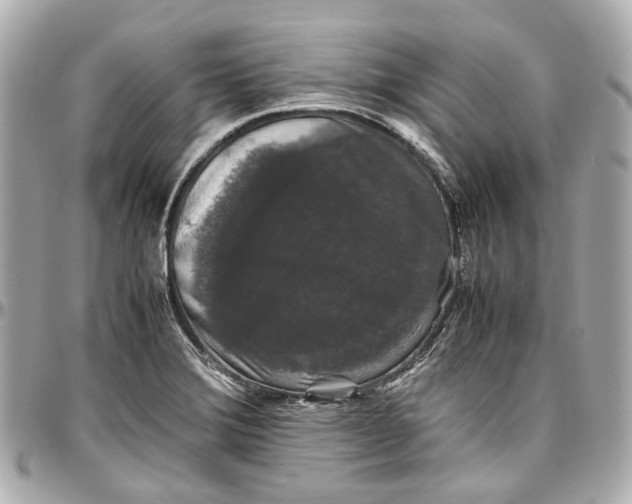 X0000097001372200802221511