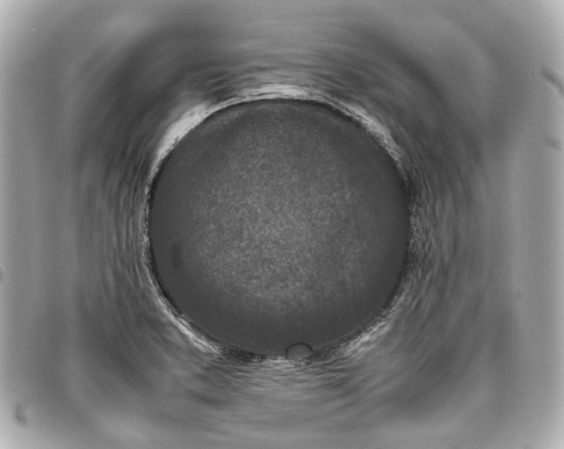 X0000097001373200802221511