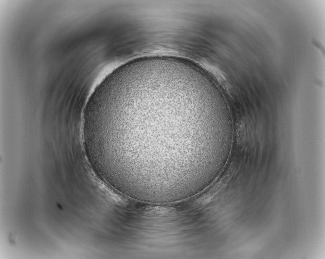 X0000097001374200802221511