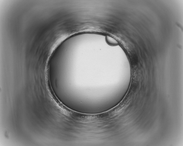 X0000097001375200802221511