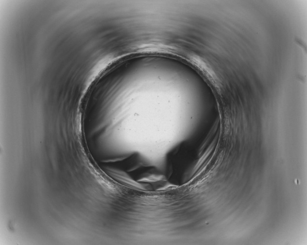 X0000097001376200802221511