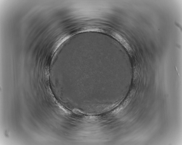 X0000097001377200802221511