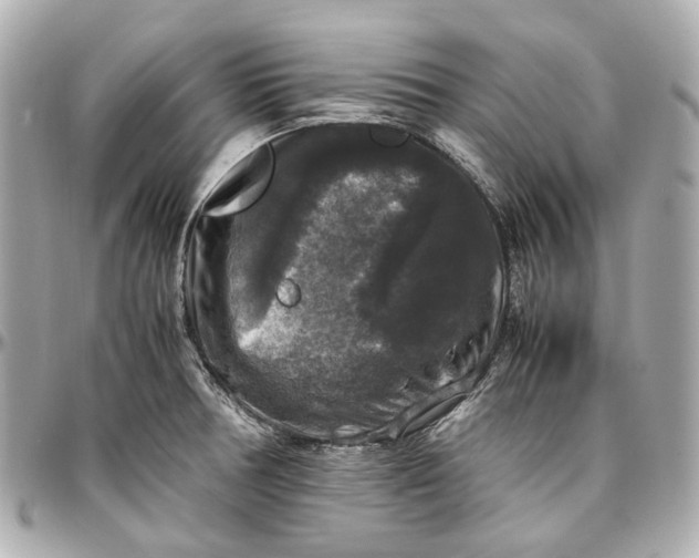 X0000097001378200802221511